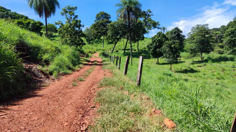 FAZENDA  23 ALQ – 100% TERRA DE CULTURA – MINAÇU/GO