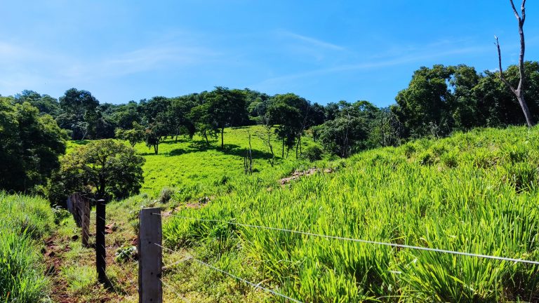 FAZENDA  23 ALQ – 100% TERRA DE CULTURA – MINAÇU/GO
