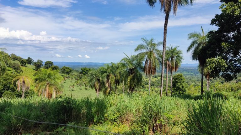 FAZENDA  23 ALQ – 100% TERRA DE CULTURA – MINAÇU/GO