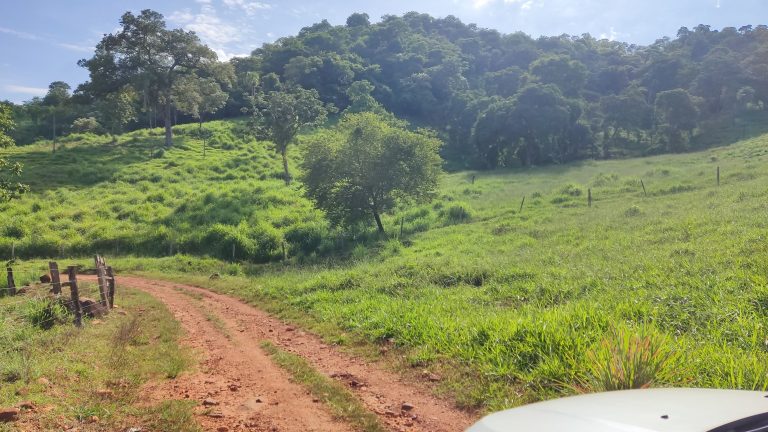 FAZENDA  23 ALQ – 100% TERRA DE CULTURA – MINAÇU/GO