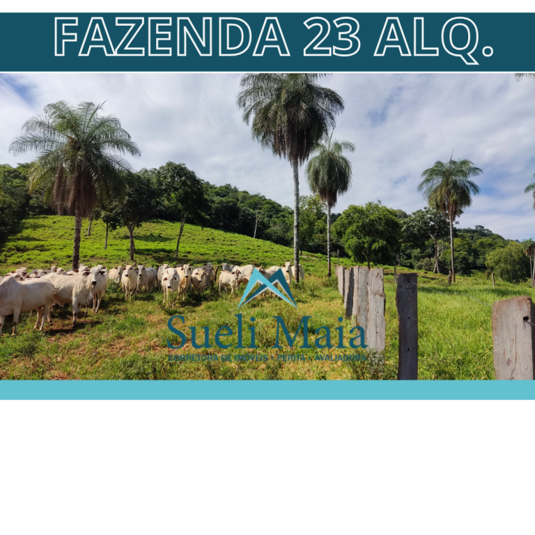 FAZENDA  23 ALQ – 100% TERRA DE CULTURA – MINAÇU/GO