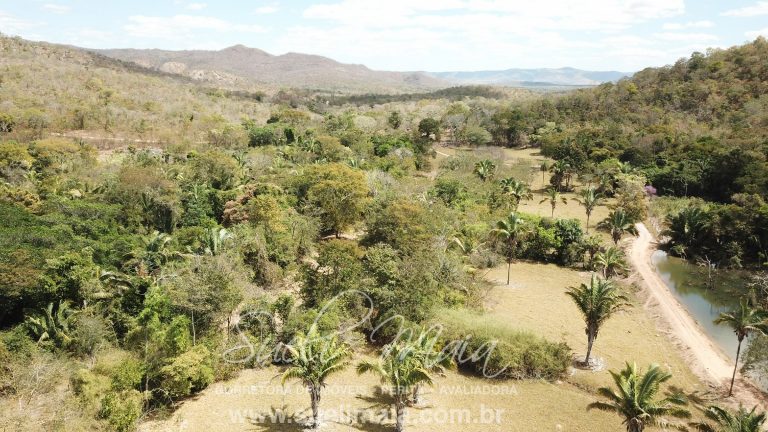 Fazenda 116 alq. tripla aptidão a 42km de Minaçu/GO