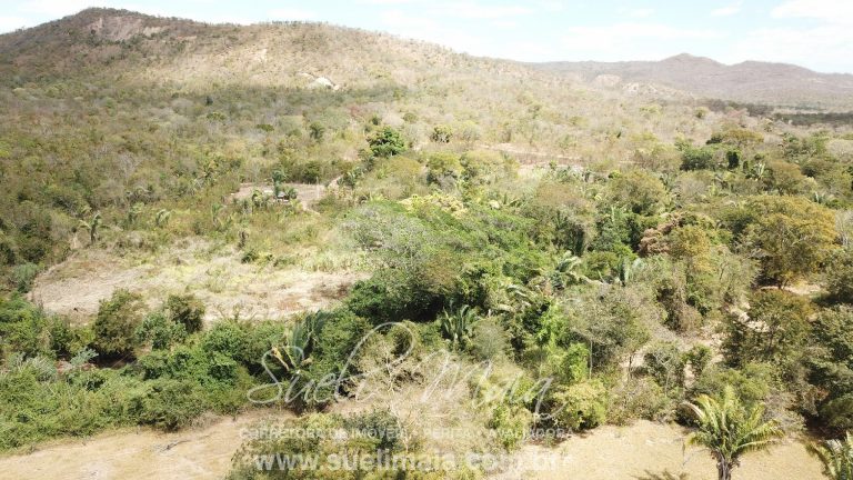 Fazenda 116 alq. tripla aptidão a 42km de Minaçu/GO