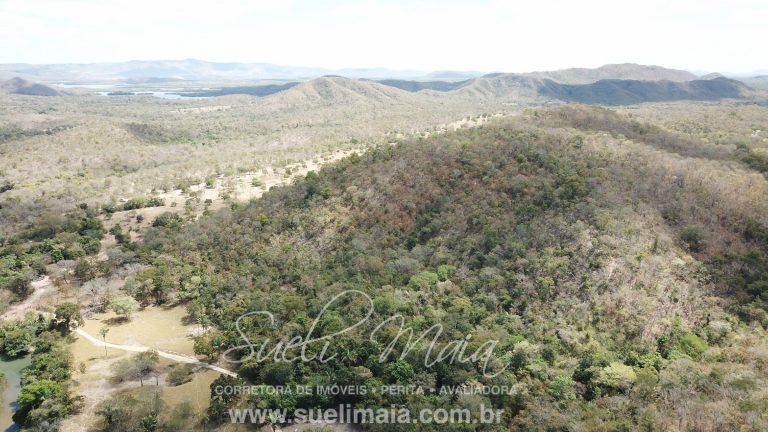 Fazenda 116 alq. tripla aptidão a 42km de Minaçu/GO
