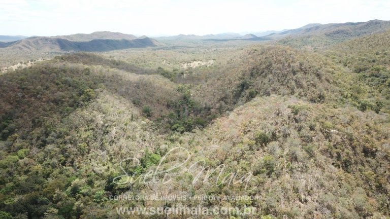 Fazenda 116 alq. tripla aptidão a 42km de Minaçu/GO