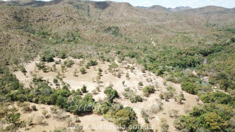 Fazenda 116 alq. tripla aptidão a 42km de Minaçu/GO