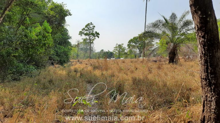 Linda fazenda c/ 118 alq (570 ha) em Minaçu/GO Linda fazenda c/ 118 alq (570 ha) em Minaçu/GO