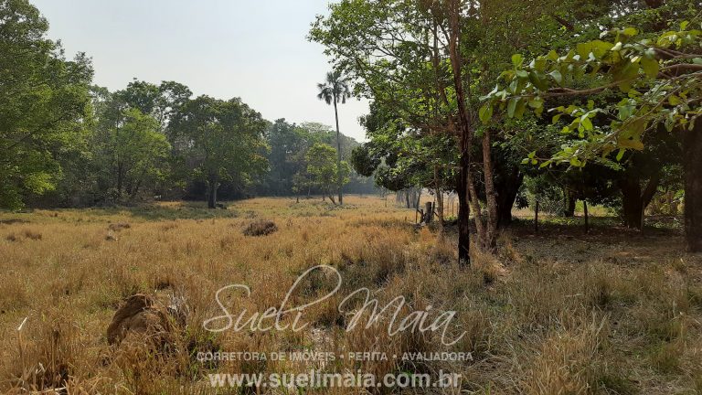 Linda fazenda c/ 118 alq (570 ha) em Minaçu/GO Linda fazenda c/ 118 alq (570 ha) em Minaçu/GO