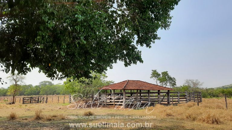 Linda fazenda c/ 118 alq (570 ha) em Minaçu/GO Linda fazenda c/ 118 alq (570 ha) em Minaçu/GO