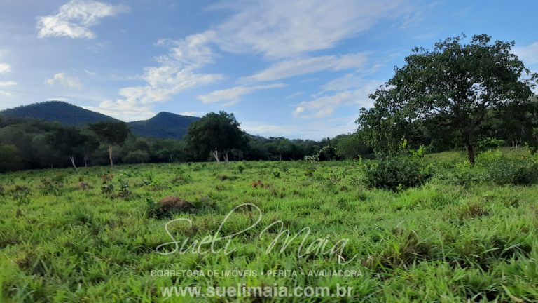 Linda fazenda c/ 118 alq (570 ha) em Minaçu/GO Linda fazenda c/ 118 alq (570 ha) em Minaçu/GO