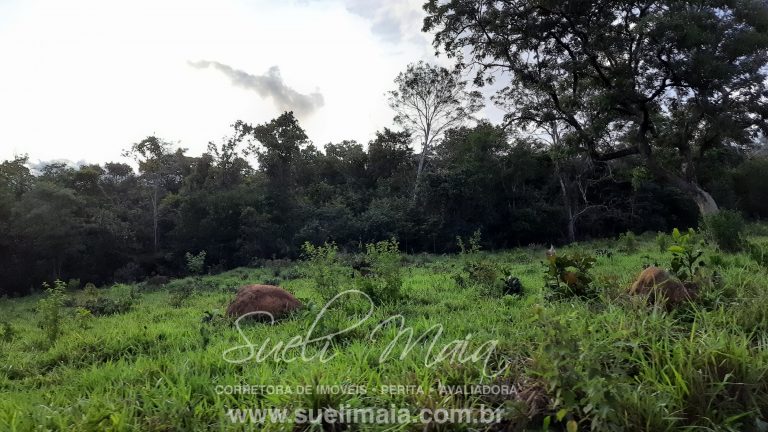 Linda fazenda c/ 118 alq (570 ha) em Minaçu/GO Linda fazenda c/ 118 alq (570 ha) em Minaçu/GO