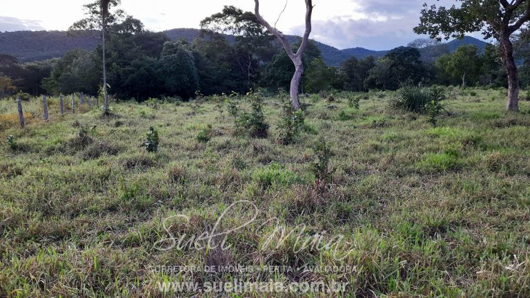 Linda fazenda c/ 118 alq (570 ha) em Minaçu/GO Linda fazenda c/ 118 alq (570 ha) em Minaçu/GO