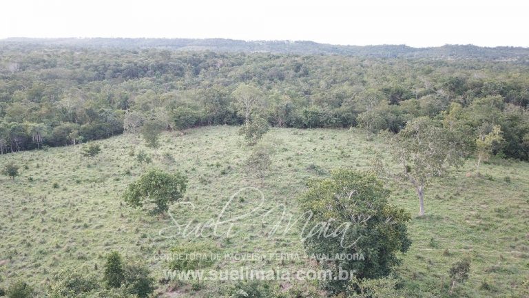 LINDA FAZENDA P/ PECUÁRIA – 96 ALQ (464HA) – MINAÇU/GO