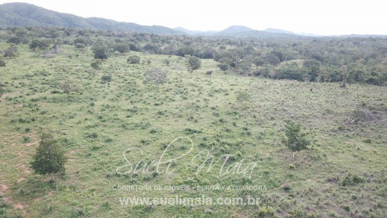 LINDA FAZENDA P/ PECUÁRIA – 96 ALQ (464HA) – MINAÇU/GO
