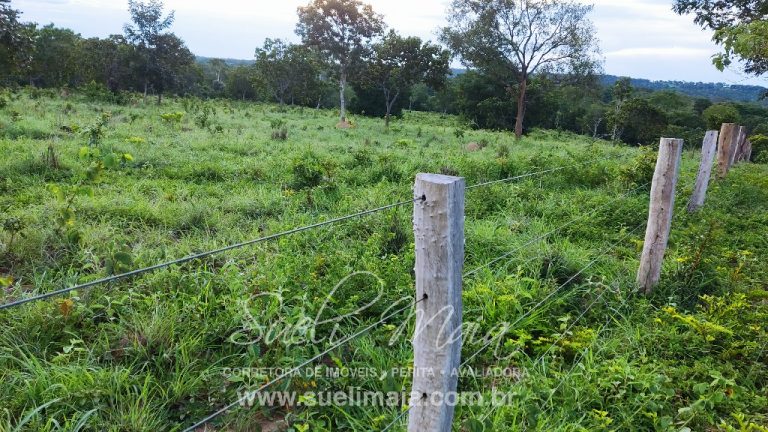 LINDA FAZENDA P/ PECUÁRIA – 96 ALQ (464HA) – MINAÇU/GO
