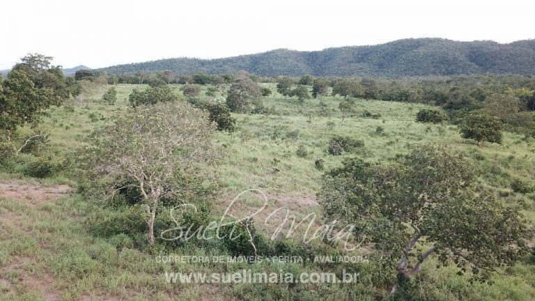 LINDA FAZENDA P/ PECUÁRIA – 96 ALQ (464HA) – MINAÇU/GO