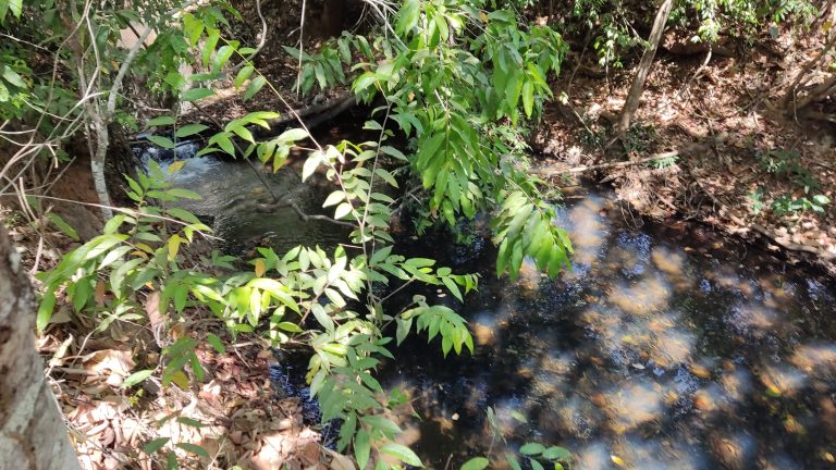 LINDA FAZENDA P/ PECUÁRIA – 96 ALQ (464HA) – MINAÇU/GO