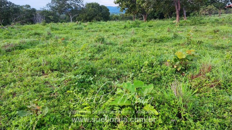 LINDA FAZENDA P/ PECUÁRIA – 96 ALQ (464HA) – MINAÇU/GO