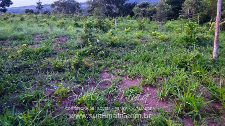 LINDA FAZENDA P/ PECUÁRIA – 96 ALQ (464HA) – MINAÇU/GO