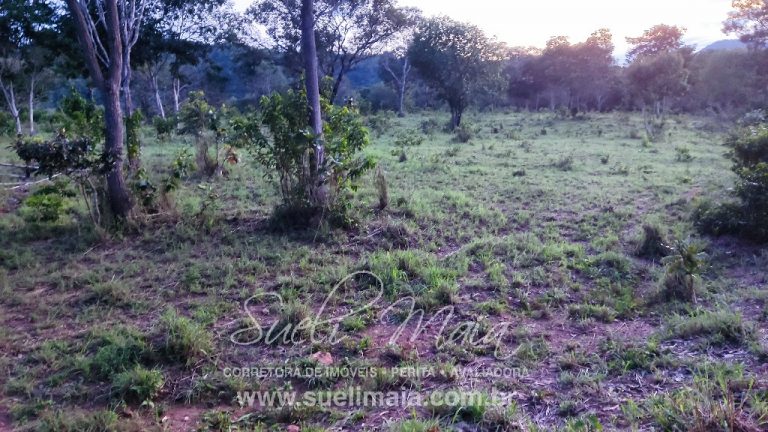 LINDA FAZENDA P/ PECUÁRIA – 96 ALQ (464HA) – MINAÇU/GO