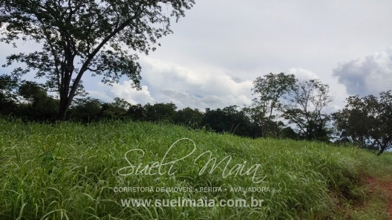 LINDA FAZENDA P/ PECUÁRIA – 96 ALQ (464HA) – MINAÇU/GO