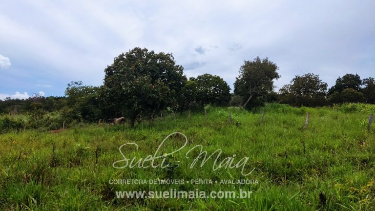 LINDA FAZENDA P/ PECUÁRIA – 96 ALQ (464HA) – MINAÇU/GO