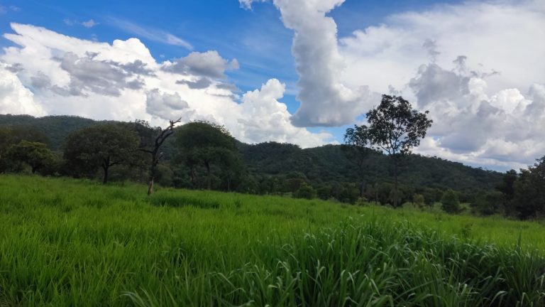 LINDA FAZENDA P/ PECUÁRIA – 96 ALQ (464HA) – MINAÇU/GO
