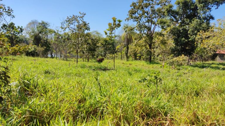 LINDA FAZENDA P/ PECUÁRIA – 96 ALQ (464HA) – MINAÇU/GO