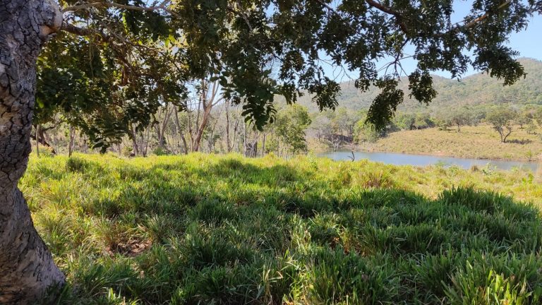 LINDA FAZENDA P/ PECUÁRIA – 96 ALQ (464HA) – MINAÇU/GO