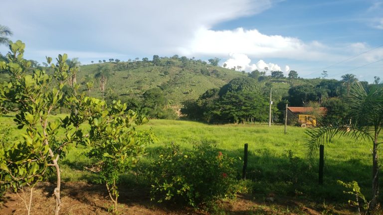 FAZENDA 143 ALQ (692 HA)  – CAMPINAÇU/GO