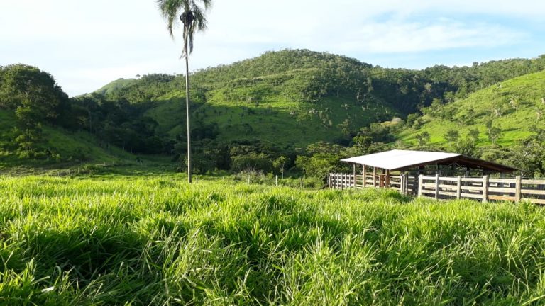 FAZENDA 143 ALQ (692 HA)  – CAMPINAÇU/GO