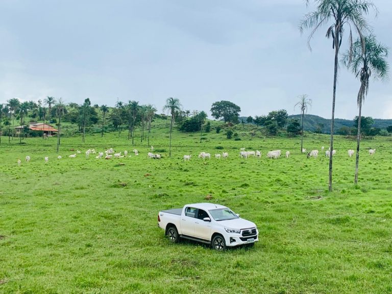 FAZENDA 143 ALQ (692 HA)  – CAMPINAÇU/GO