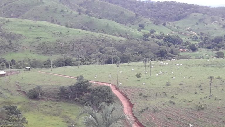 FAZENDA 143 ALQ (692 HA)  – CAMPINAÇU/GO