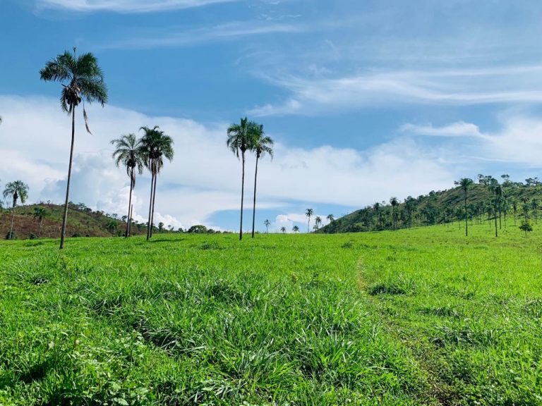FAZENDA 143 ALQ (692 HA)  – CAMPINAÇU/GO