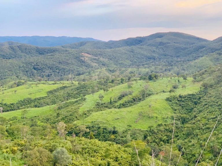 FAZENDA 143 ALQ (692 HA)  – CAMPINAÇU/GO