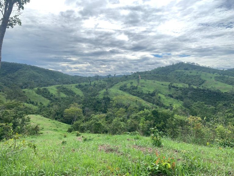 FAZENDA 143 ALQ (692 HA)  – CAMPINAÇU/GO