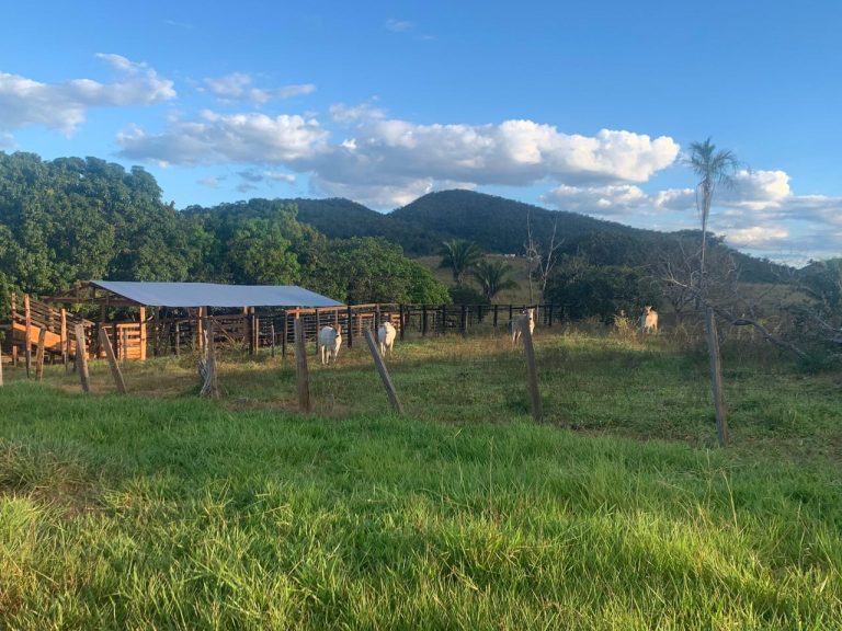 FAZENDA 143 ALQ (692 HA)  – CAMPINAÇU/GO
