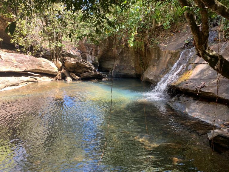 FAZENDA 143 ALQ (692 HA)  – CAMPINAÇU/GO
