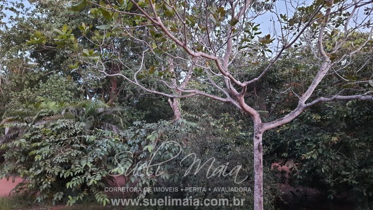 CHÁCARA C/ SOBRADO – NA BEIRA DO LAGO – 4.079,94 M² CHÁCARA C/ SOBRADO – NA BEIRA DO LAGO – 4.079,94 M²
