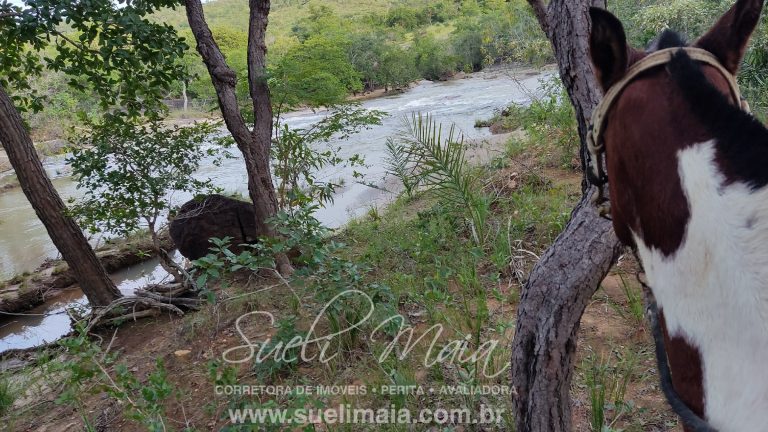 FAZENDA DE 370 ALQ P/ PECUÁRIA- MINAÇU/GO (1800HA)