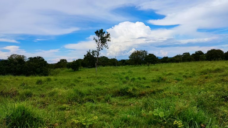 FAZENDA DE 87ha (18 alq.) PERTINHO DA CIDADE – MINAÇU/GO