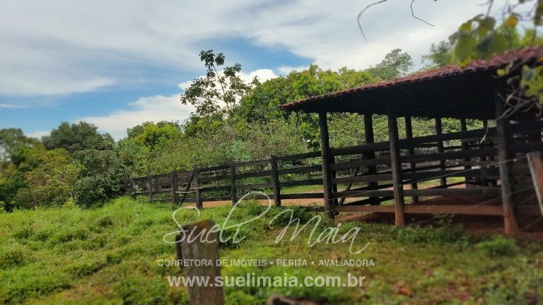 FAZENDA DE 87ha (18 alq.) PERTINHO DA CIDADE – MINAÇU/GO