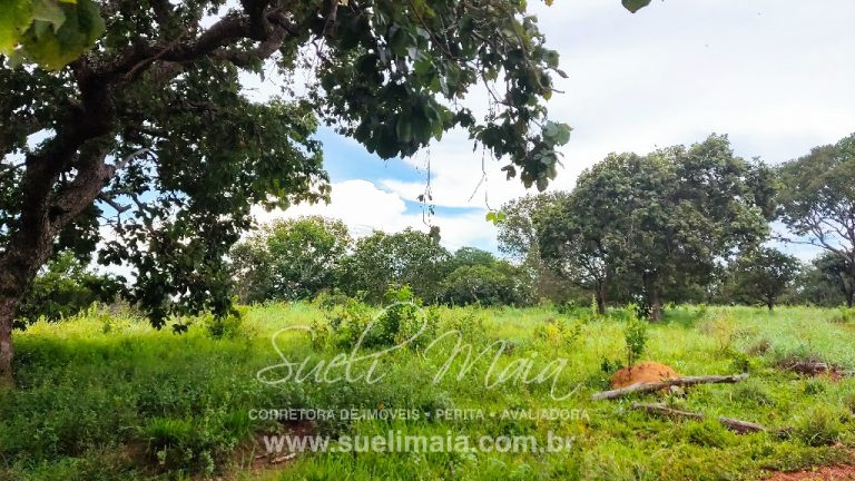 FAZENDA DE 87ha (18 alq.) PERTINHO DA CIDADE – MINAÇU/GO