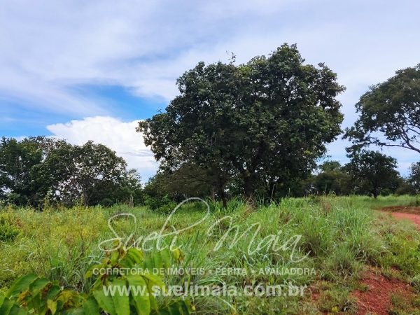 FAZENDA DE 87ha (18 alq.) PERTINHO DA CIDADE – MINAÇU/GO