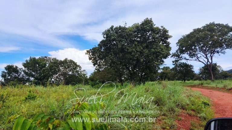 FAZENDA DE 87ha (18 alq.) PERTINHO DA CIDADE – MINAÇU/GO