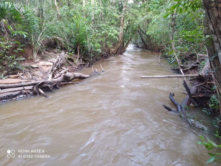 FAZENDA DE 87ha (18 alq.) PERTINHO DA CIDADE – MINAÇU/GO