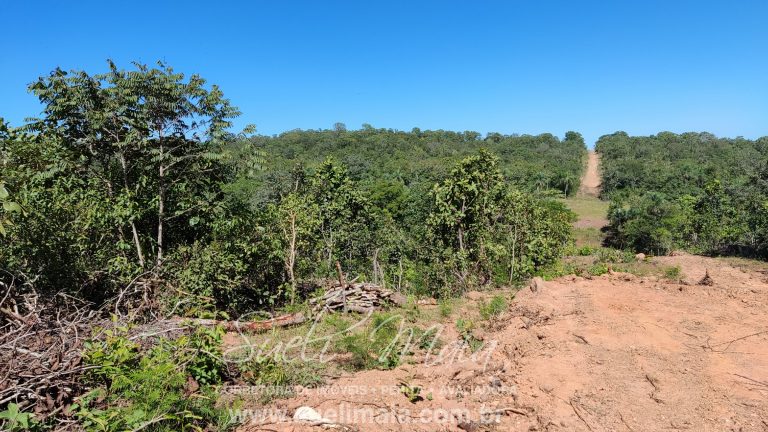 VENDE-SE 2 ALQUEIRES A 100M DA GO 241