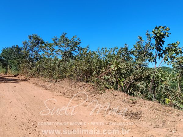 VENDE-SE 2 ALQUEIRES A 100M DA GO 241