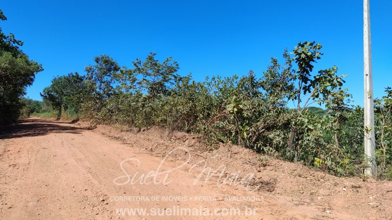 VENDE-SE 2 ALQUEIRES A 100M DA GO 241
