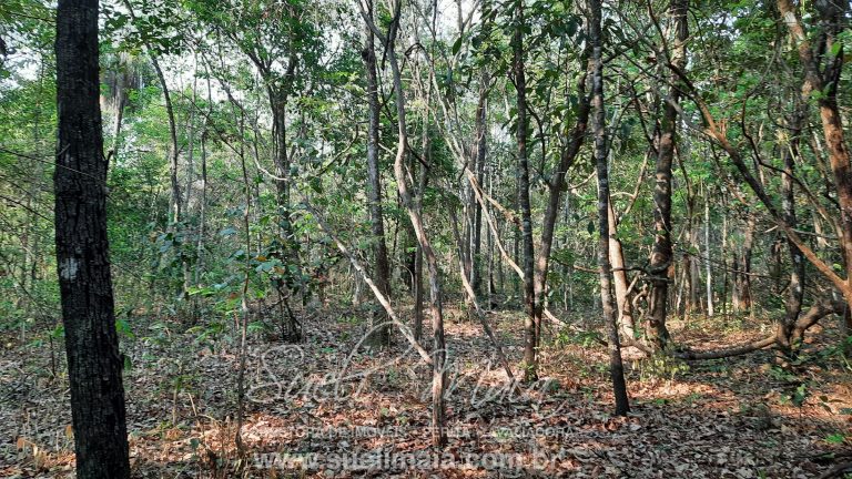 Linda Fazenda 47,68 alq  (230ha) em Minaçu/GO
